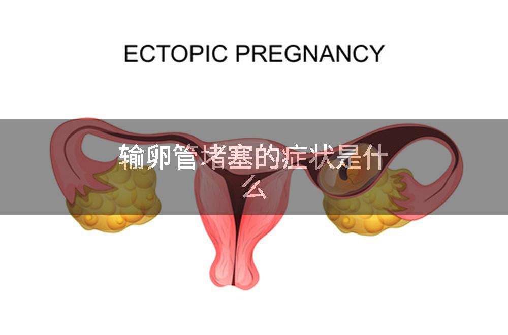输卵管堵塞的症状是什么