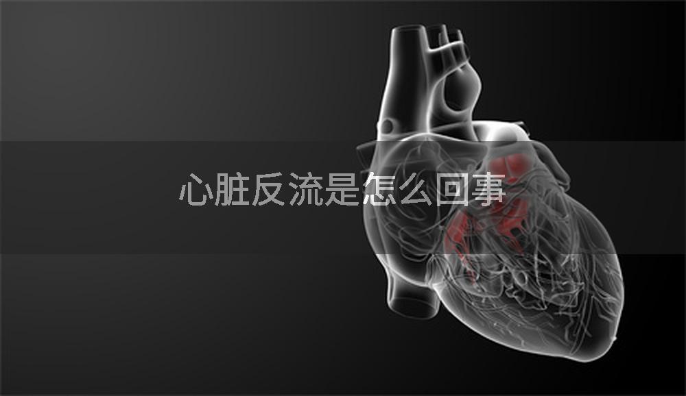 心脏反流是怎么回事