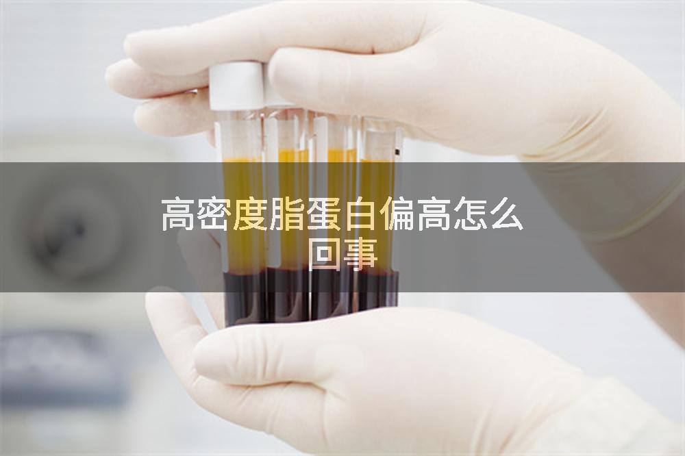 高密度脂蛋白偏高怎么回事