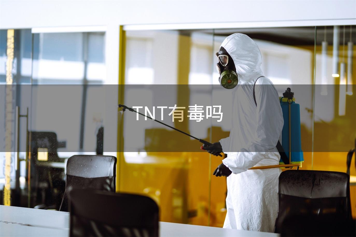 TNT有毒吗
