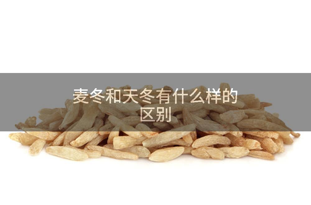 麦冬和天冬有什么样的区别