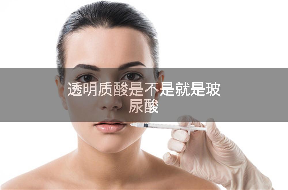 透明质酸是不是就是玻尿酸