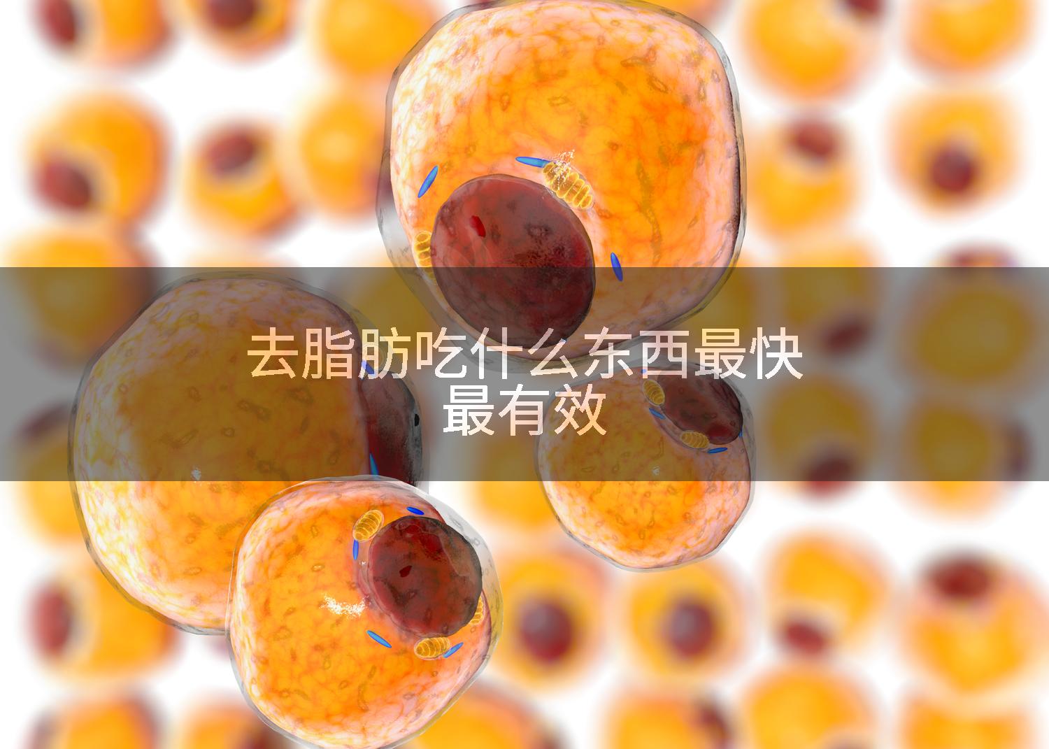 去脂肪吃什么东西最快最有效