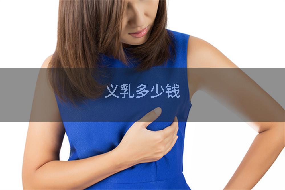 义乳多少钱