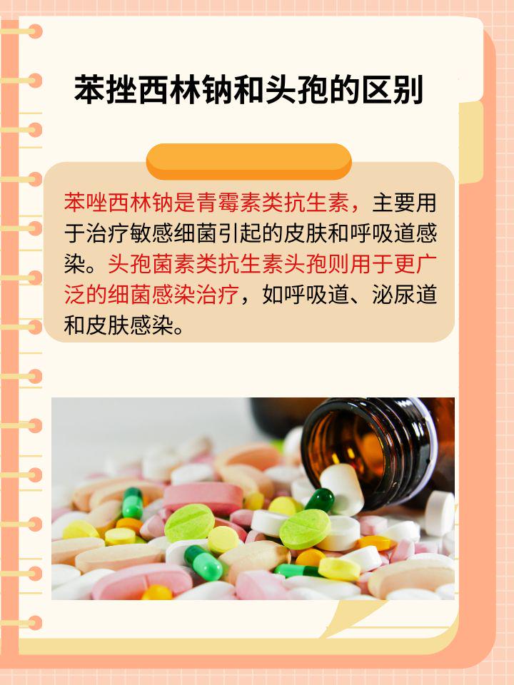 苯挫西林鈉與頭孢：抗菌藥物的差異揭秘