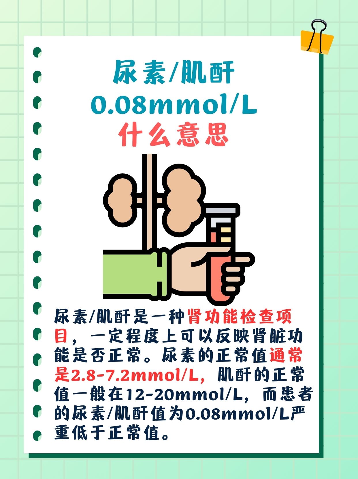 尿素/肌酐0.08mmol/L什么意思？!