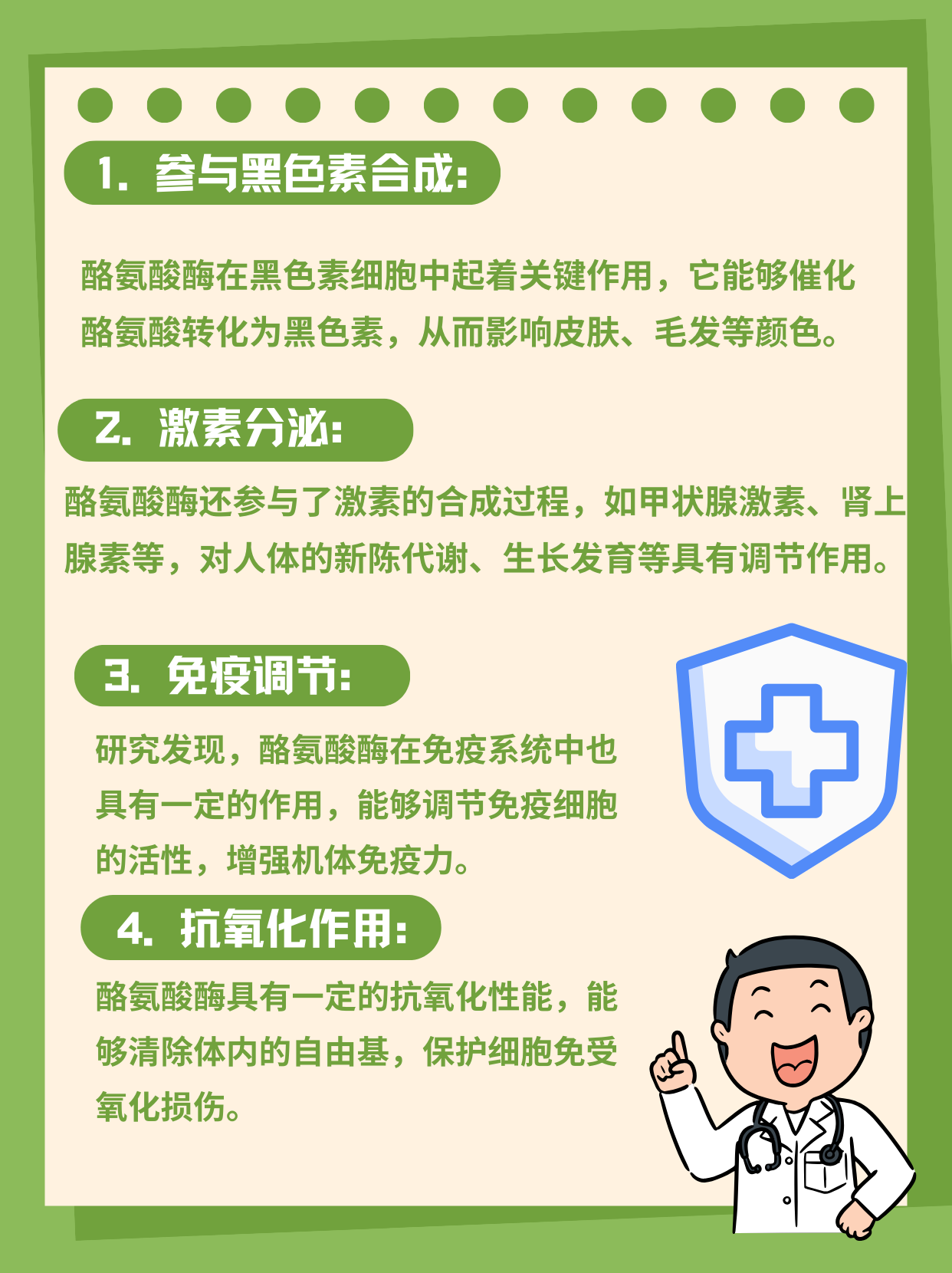 酪氨酸酶作用大揭秘，带你深入了解其功效