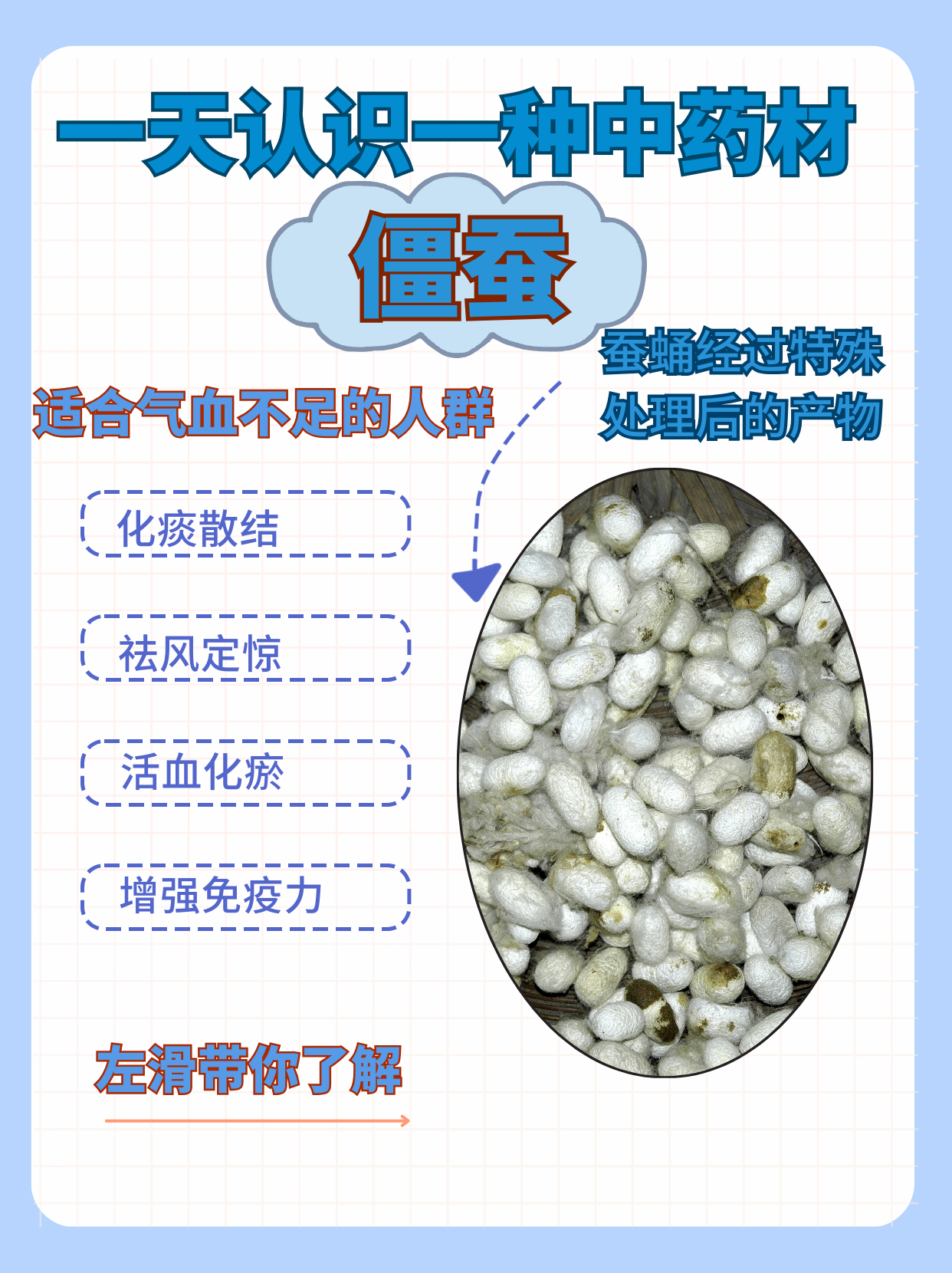 气血不足不用慌，僵蚕帮你忙！