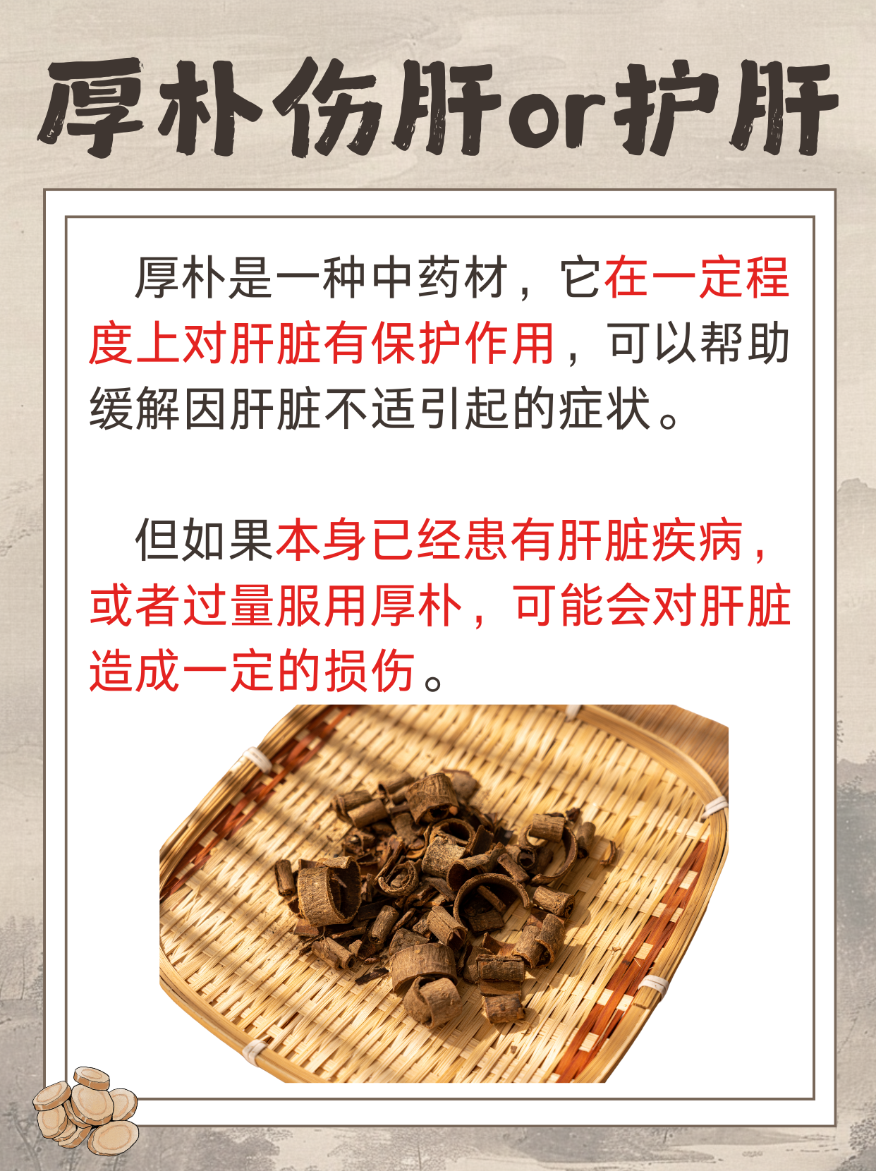 厚朴：伤肝还是护肝？揭秘中药的真相！