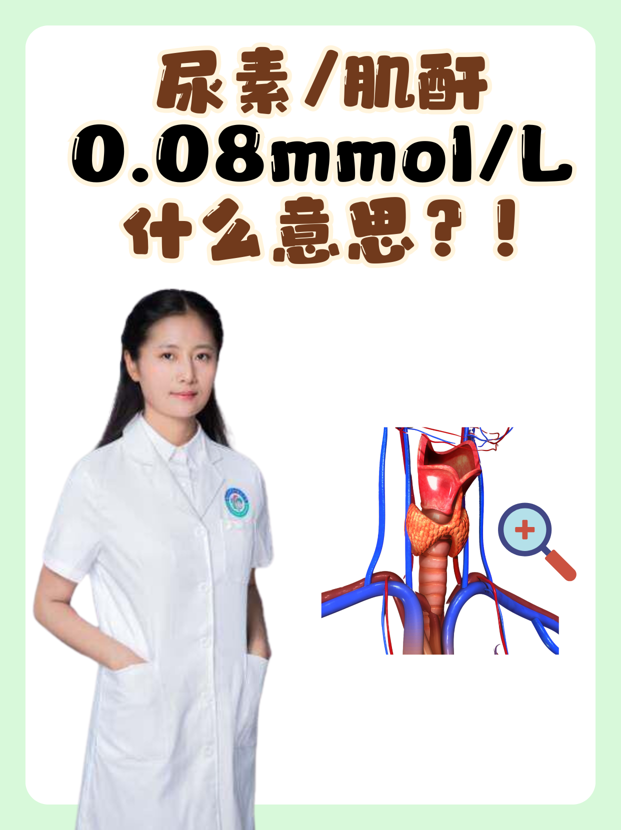 尿素/肌酐0.08mmol/L什么意思？!