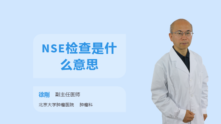 NSE检查是什么意思