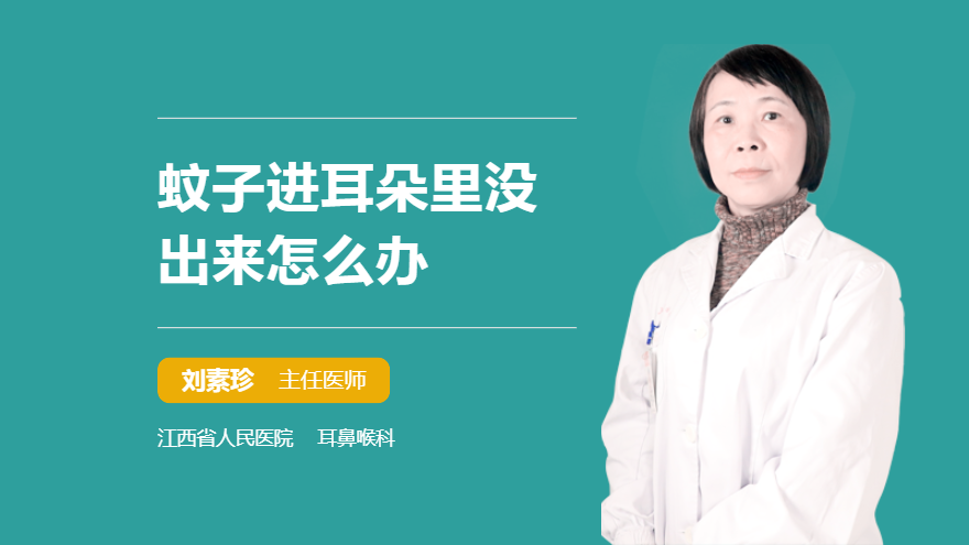 蚊子进耳朵里没出来怎么办