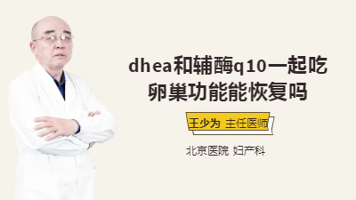 dhea和辅酶q10一起吃卵巢功能能恢复吗