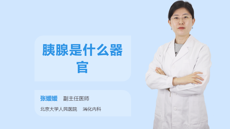 胰腺是什么器官