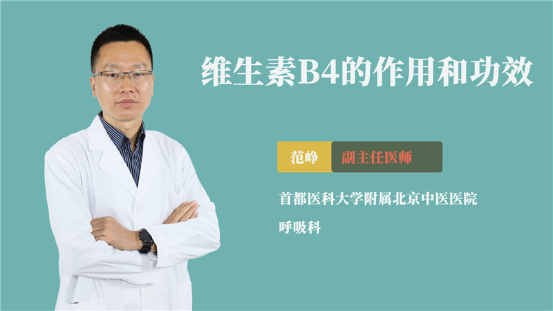 维生素b4的作用和功效