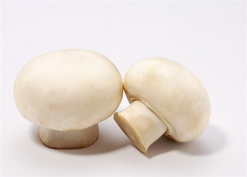 怀孕可以吃白蘑菇吗