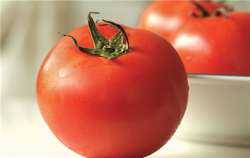 怀孕可以吃西红柿吗